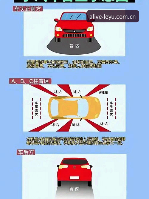 揭秘乐鱼体育平台评测盲区：你未必真正懂得“发现此刻的鲜活世界2025官网入口”